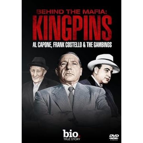 (未使用･未開封品)Lords of the Mafia [DVD] Lords Of The Mafia: Chinese Triads DVD - Zavvi UK